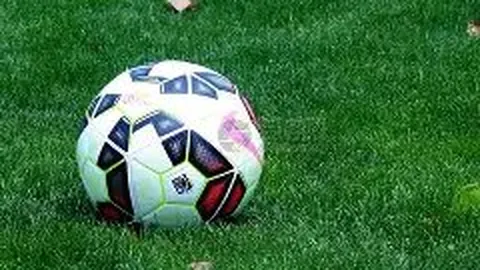 B体育 资讯 114355 jw3