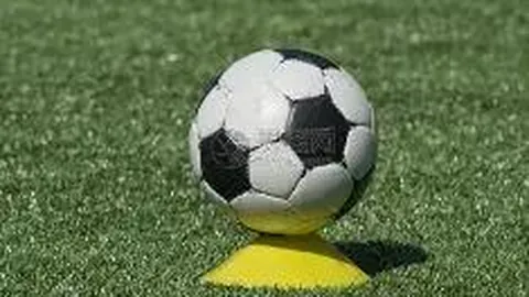 B体育 资讯 141026 mpw