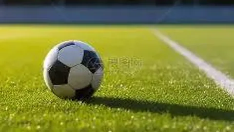 B体育 产品 140021 282